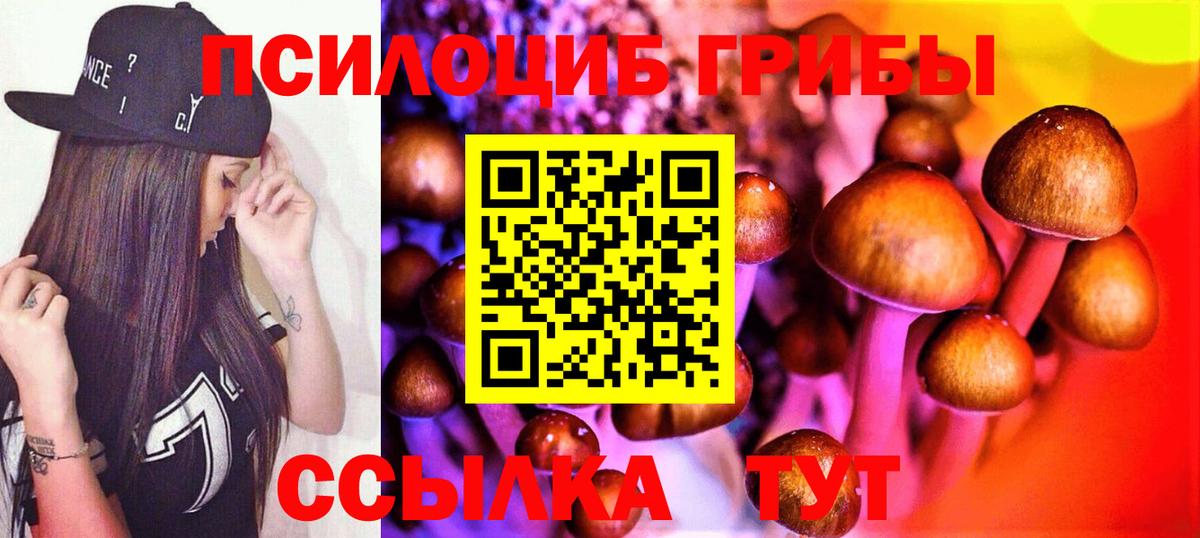 хочу наркоту  Вход с VPN  Старая Купавна  Псилоцибиновые грибы Psilocybe  Галлюциногенные грибы мухоморы 