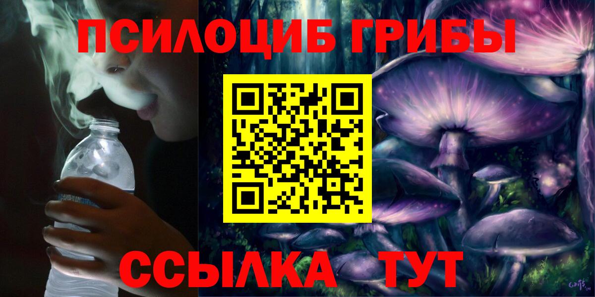 Псилоцибиновые грибы мицелий  где купить наркотик  Старая Купавна 